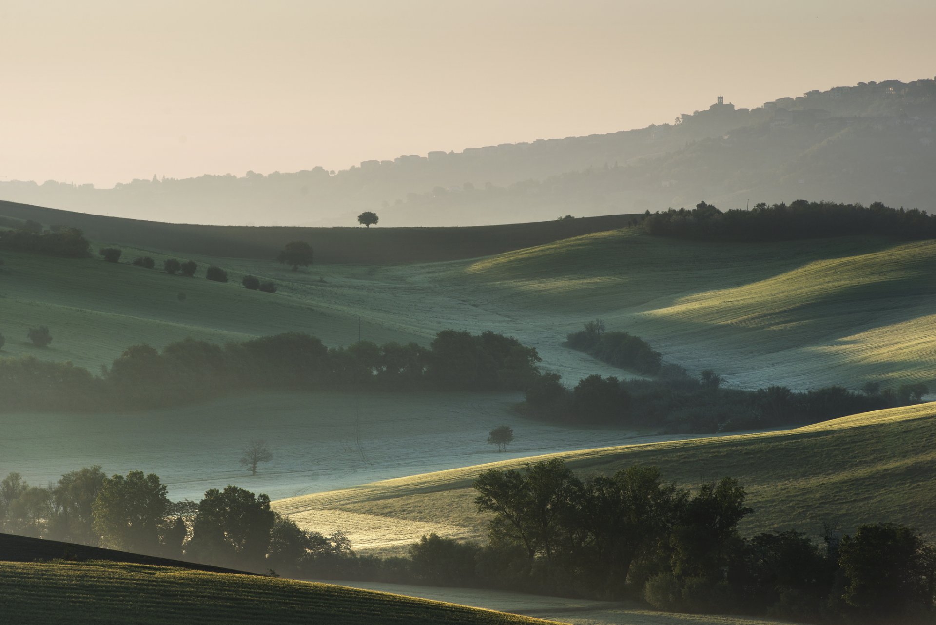 italien hügel bäume felder nebel morgen