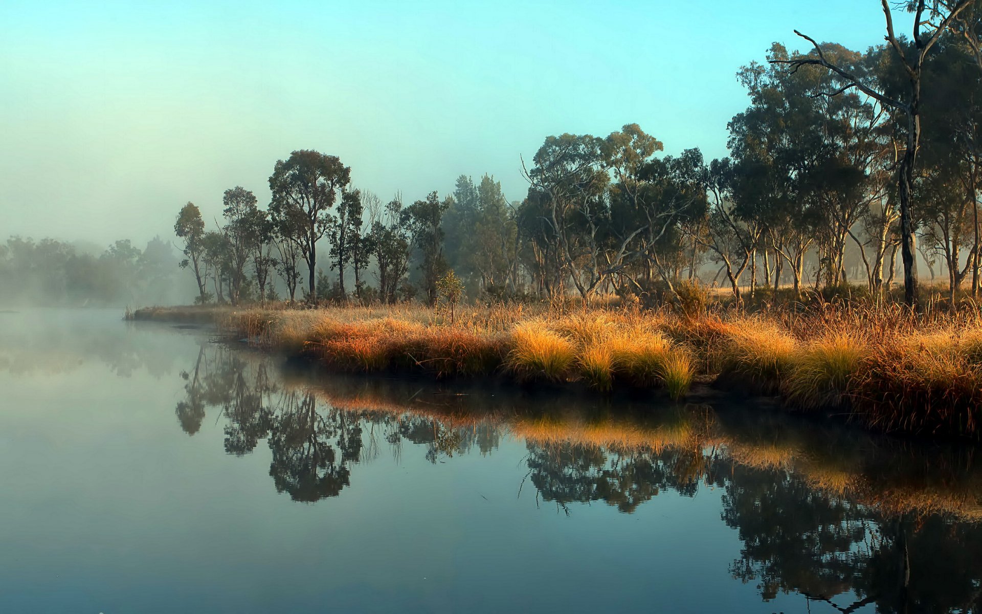 río naturaleza paisaje