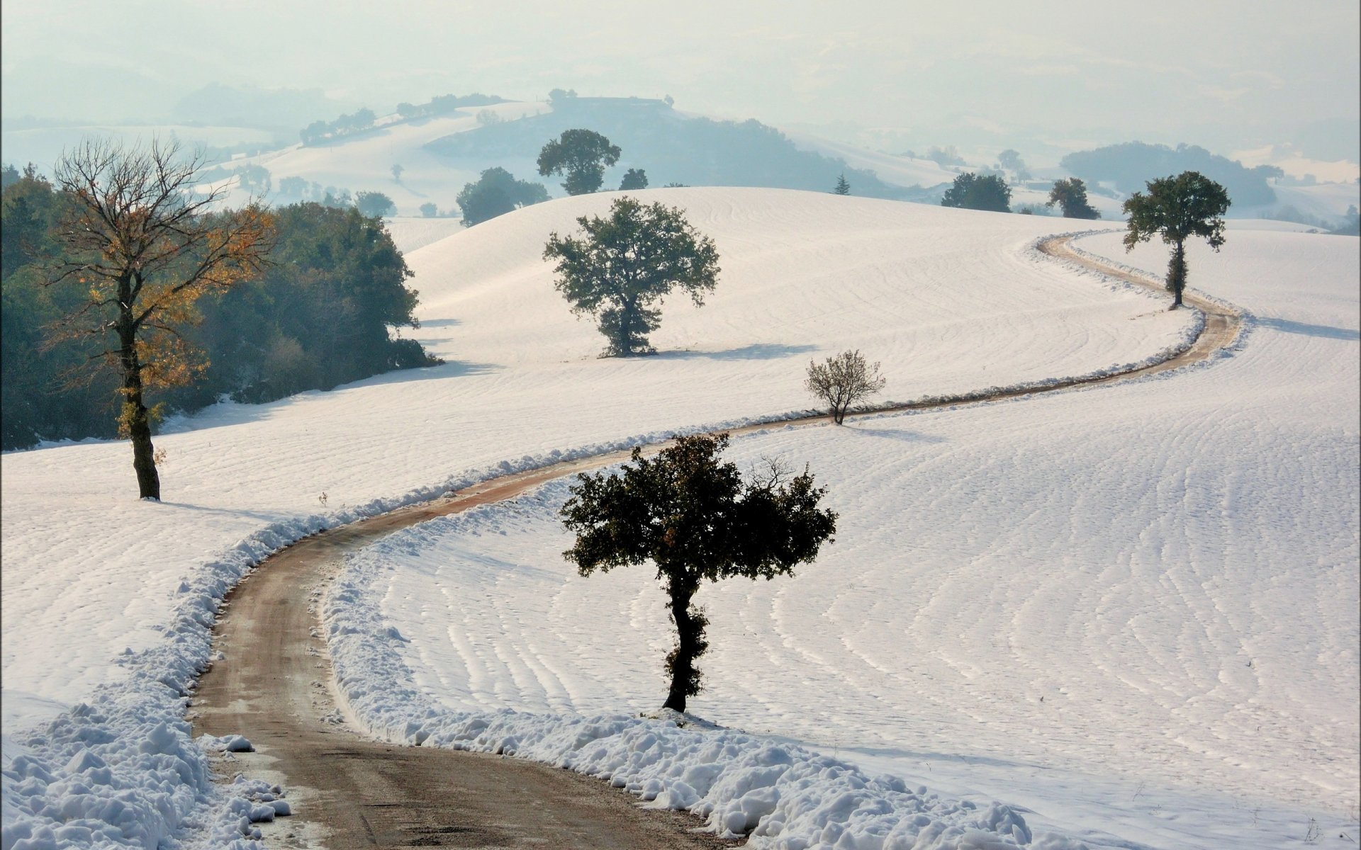 campo strada neve paesaggio