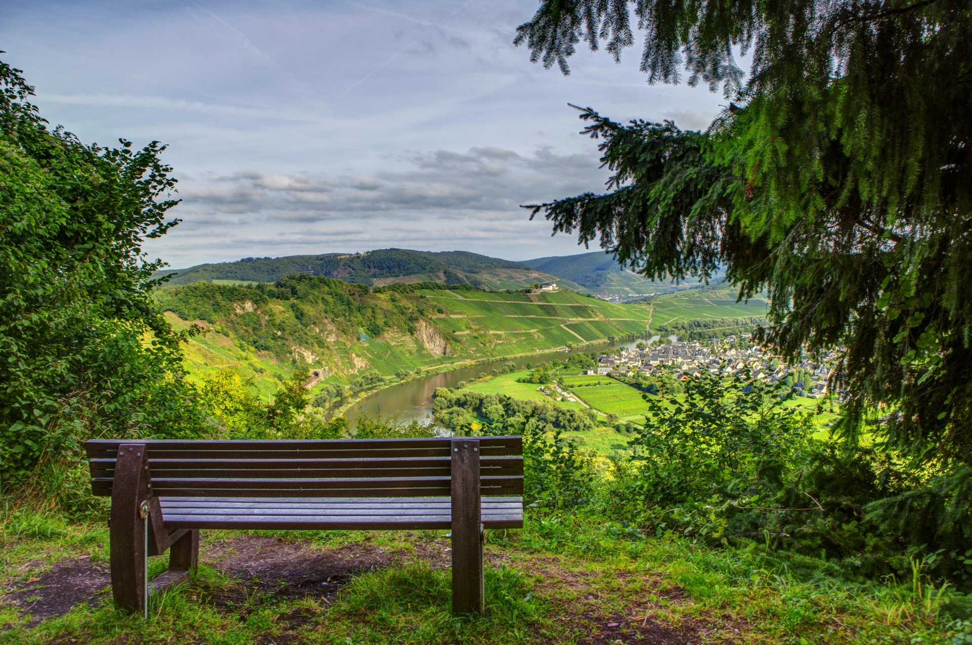 nature forest mountain horizon spruce shop landscape photo