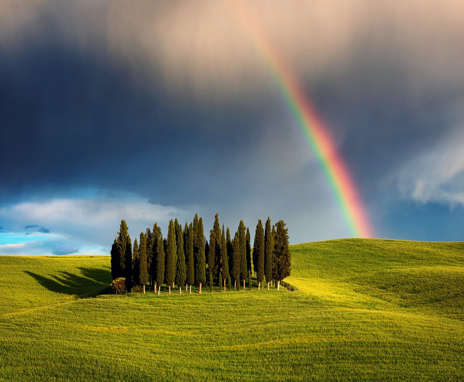 italien toskana zypressenhügel hain natur felder bäume himmel wolken wolken regenbogen frühling mai