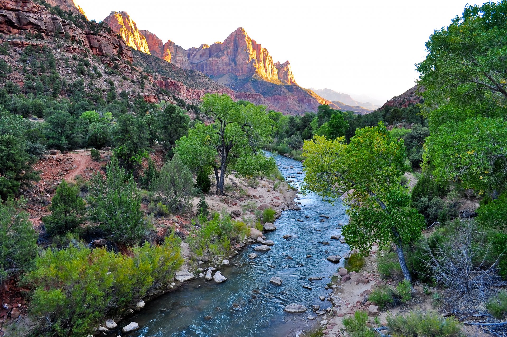 parque nacional zion parque nacional zion utah estados unidos cañón zion rocas rocas areniscas navajo pintadas de color rojizo y bronce río virginia árboles arbusto cielo