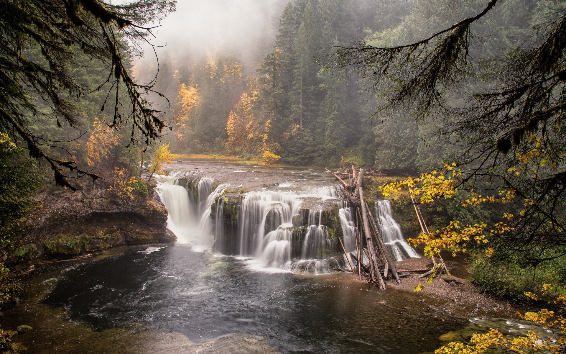 foresta fiume cascata natura paesaggio