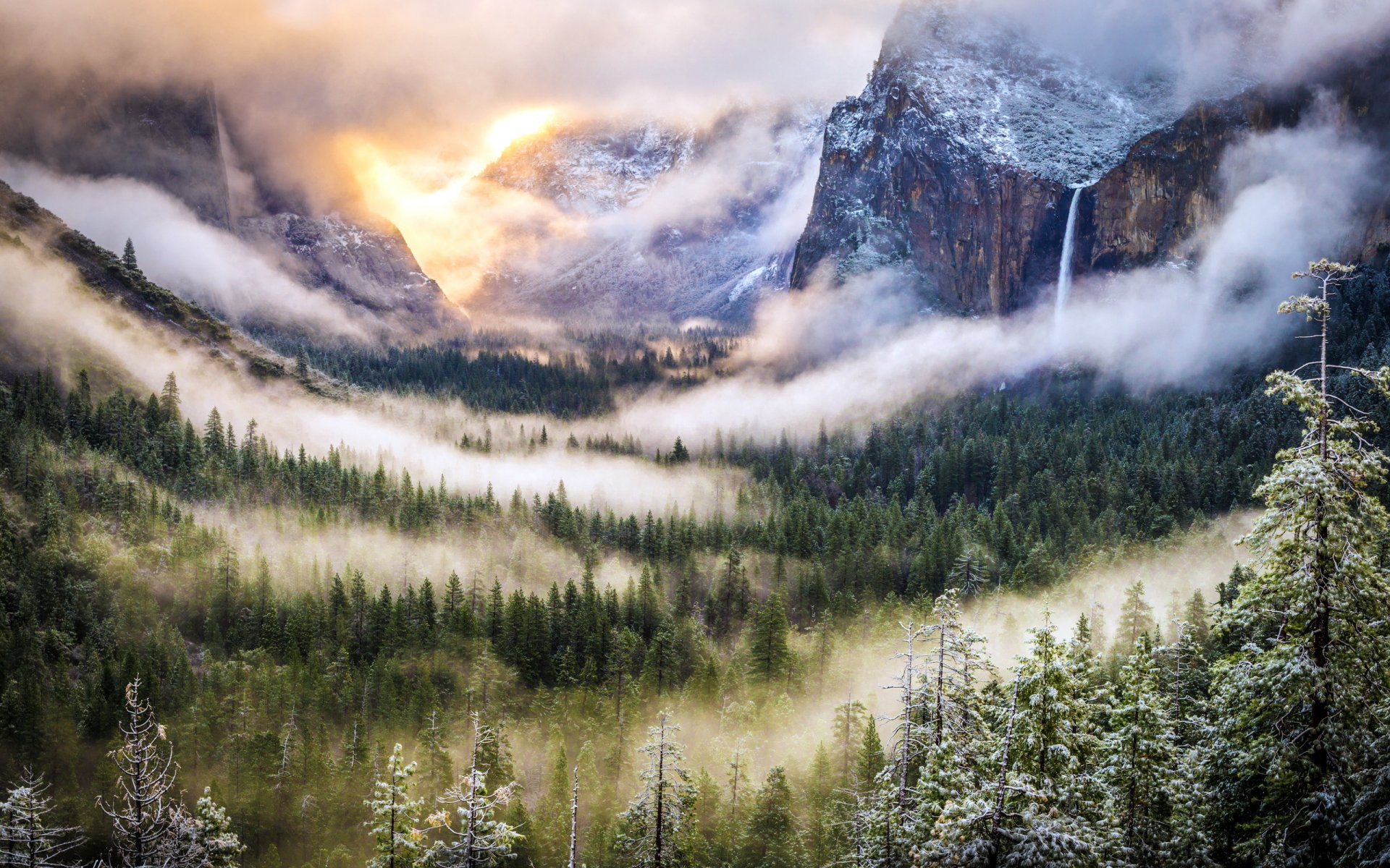 montagnes brouillard forêt nature paysage