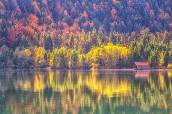 Herbst. See. Haus. Wasser