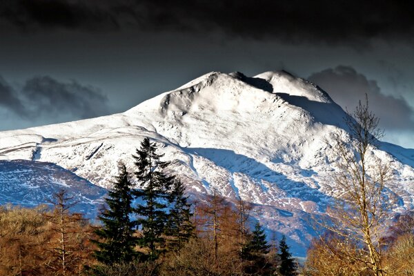 The top of the mountain. Snow and trees