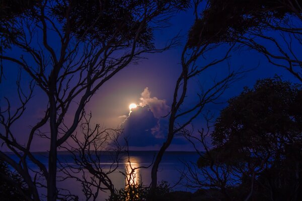 Fondos de Escritorio el sol sale de la nube