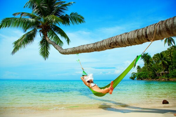 Ocean, palm trees and a girl in a hammock