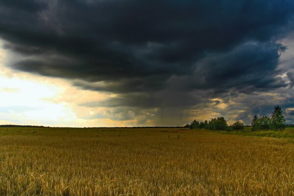 Hermoso paisaje: campo bajo nubes de tormenta