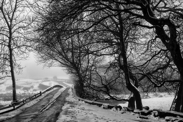 Grauer Winter am Dorfhafen