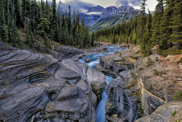 Paysage. Rivière rocheuse dans la forêt