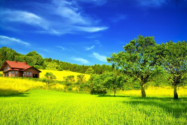 Ein leuchtend grünes Feld mit Gras. Das Haus steht in einem Feld mit Bäumen