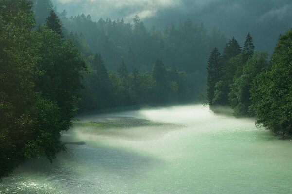 Fiume nella foresta di Berchtesgaden in Baviera in caso di pioggia