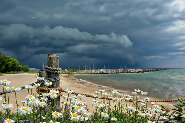 Landscape - the seashore before a thunderstorm