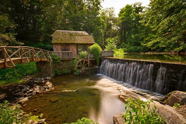 A fabulous bridge across the river in the forest