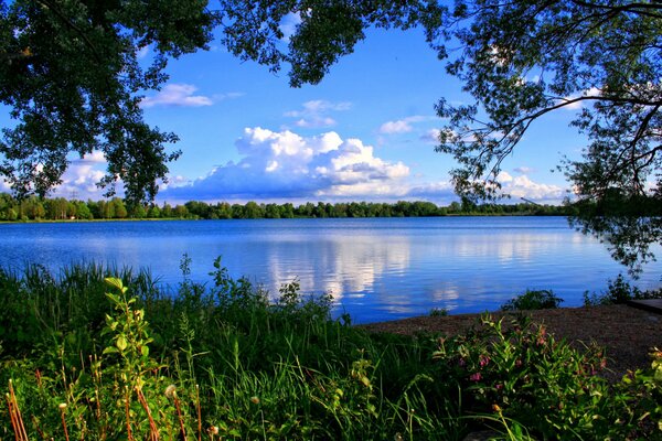 Nuage sur le ciel bleu encadré par les arbres et l eau