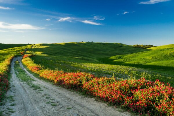 Toskanische Landschaft. Straße im Feld