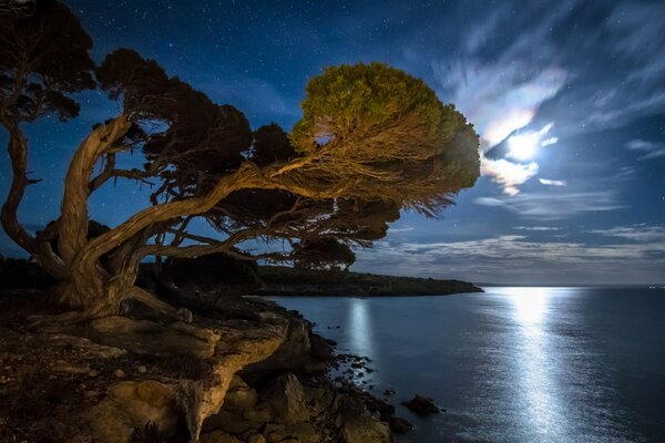 Riflessione del chiaro di luna nella baia