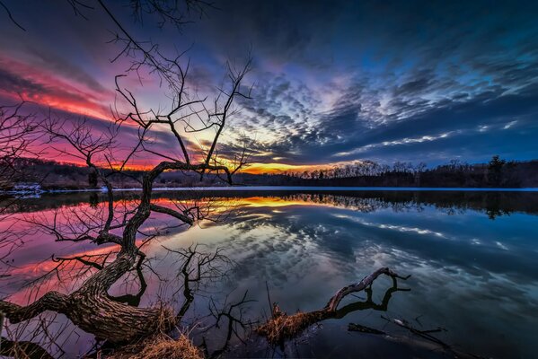 Tramonto rosa e blu sul lago