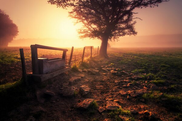 The sun illuminates the horizon on a foggy morning