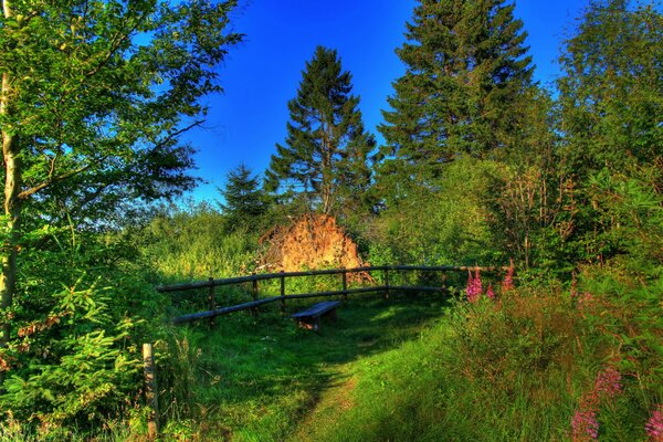 Allemagne Hesse paysage avec banc