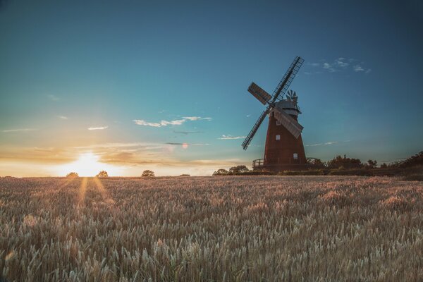 Mulino in un campo con un bel tramonto