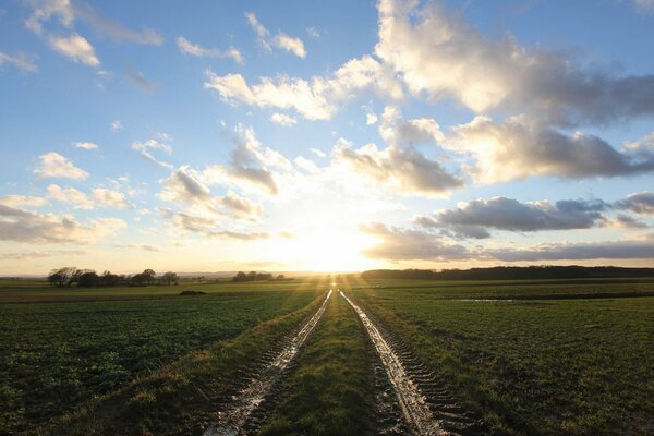 Dawn on the morning field in the village