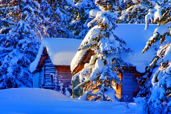 A casa e mangiato nella neve foto