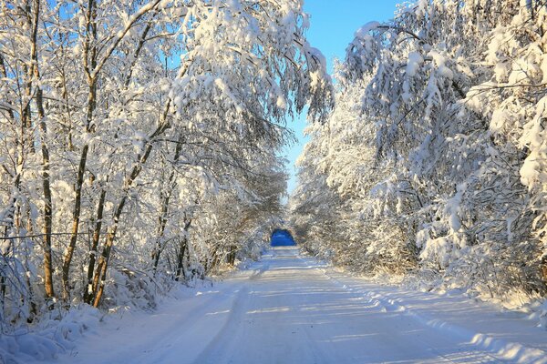 Paisaje de un día de invierno helado