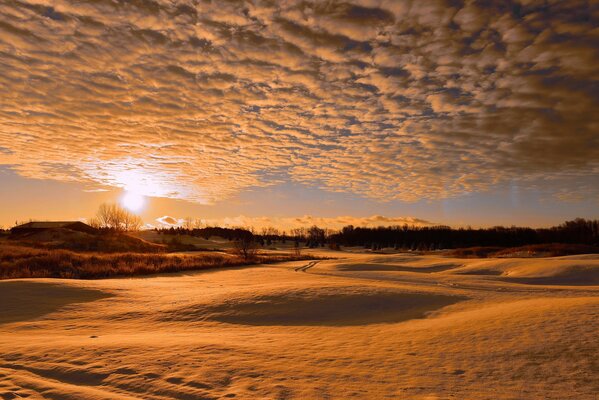 Paysage enneigé sur fond de coucher de soleil