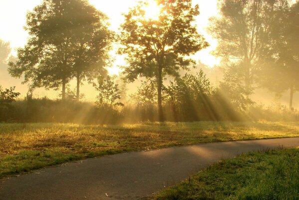 Les rayons du soleil d été éclairent la route