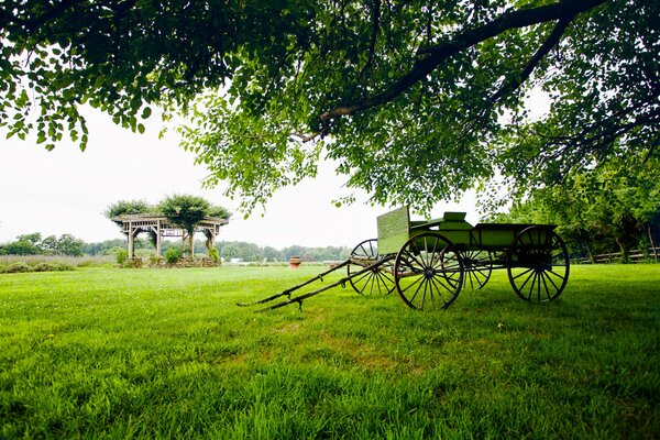 Grünes Feld mit Wagen und Pavillon