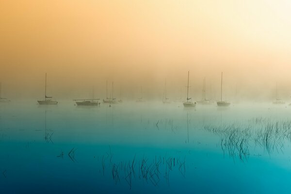 Morgen. Boote. Wasser. Der Nebel