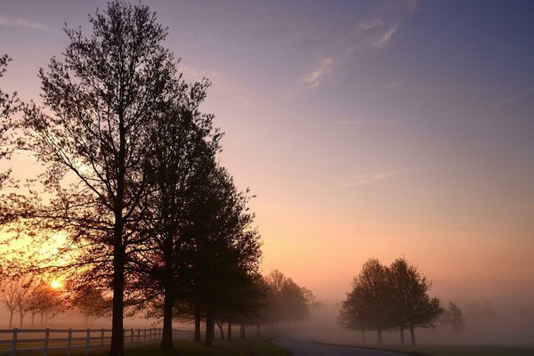 Niebla de la mañana en la carretera