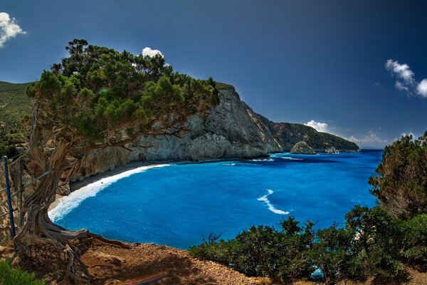 Landschaft von Griechenland Bäume auf Felsen am Meer