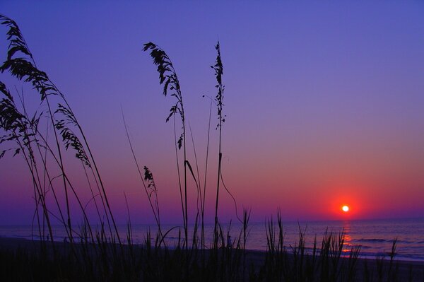 Amazing sunset on the sea