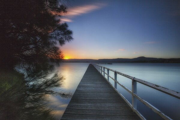 Morning, dawn in the mountains. A tree on the lake by the pier