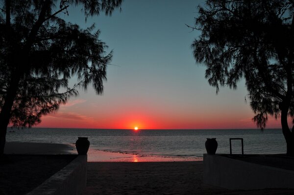 Coucher de soleil sur la plage de la mer parmi les arbres