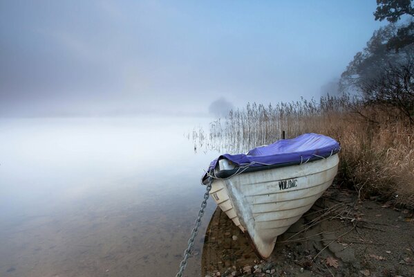 Morning fog over the water