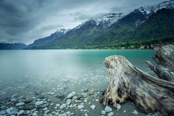 Mountains of Switzerland. Lake and forest