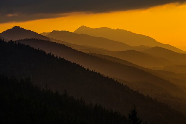 Carpathian Mountains during sunset