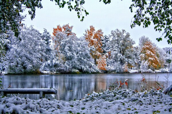 Río en un bosque de invierno cubierto de nieve