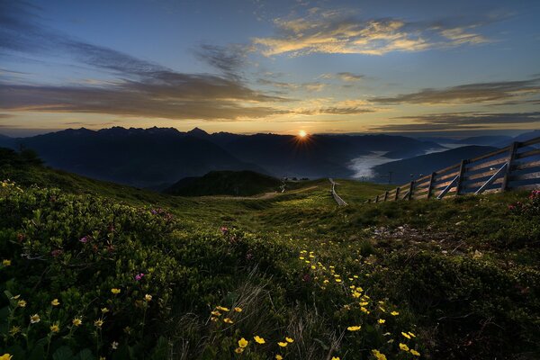 Ruhige Morgendämmerung in einer Berglandschaft mit Blumen