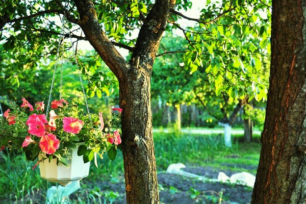 A picturesque park with a pot of flowers on a tree branch