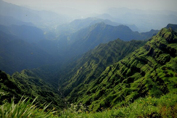 Hermosa garganta de montaña en la niebla