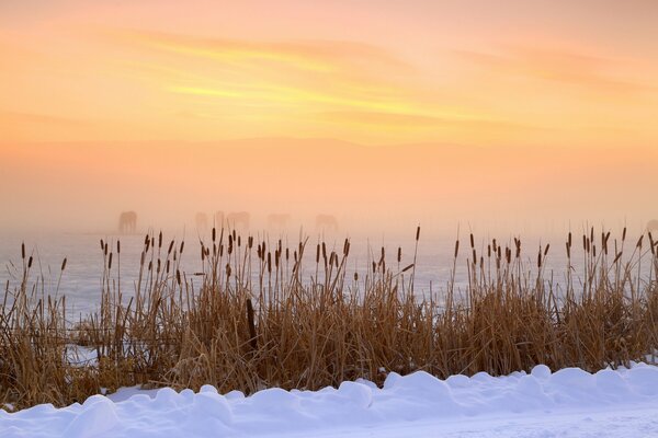 Wintermorgen im Hebertal