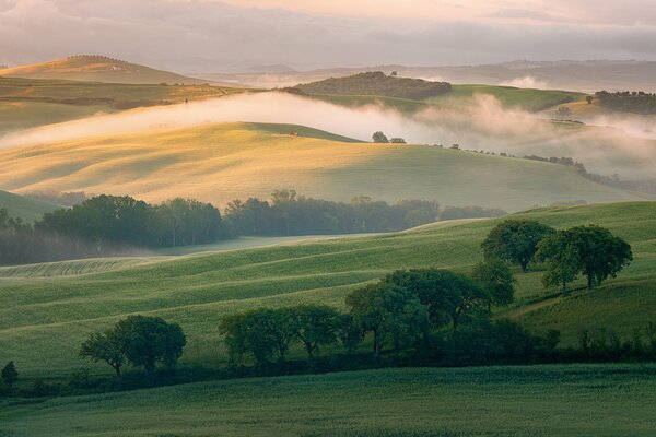 Campi in Italia al mattino con la nebbia