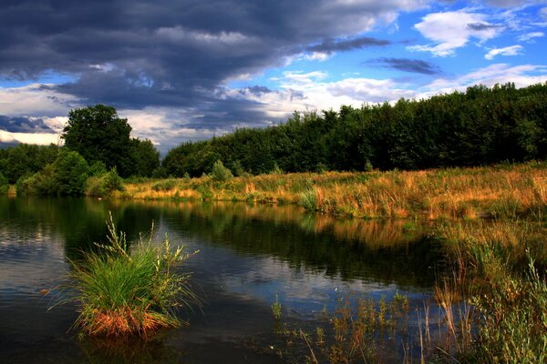 Wald und Fluss auf bewölktem Himmel Hintergrund