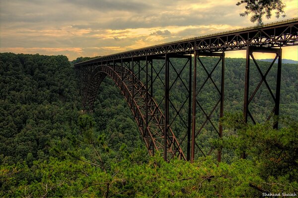 Eine hohe Brücke über einen undurchdringlichen Wald