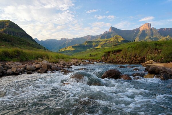 Landscape of a mountain river, in summer